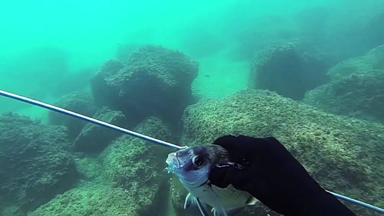 Pescasub rompeolas Barcelona