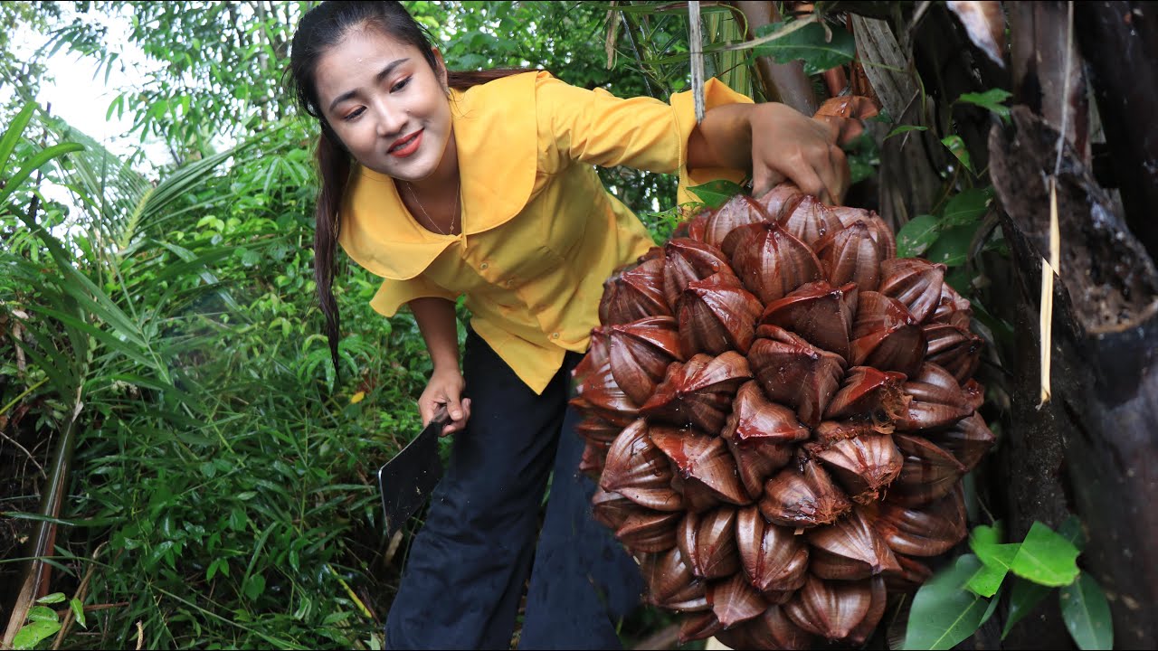 Countryside Life TV: Have you ever seen this fruit at your place? / Nipa palm fruit recipe