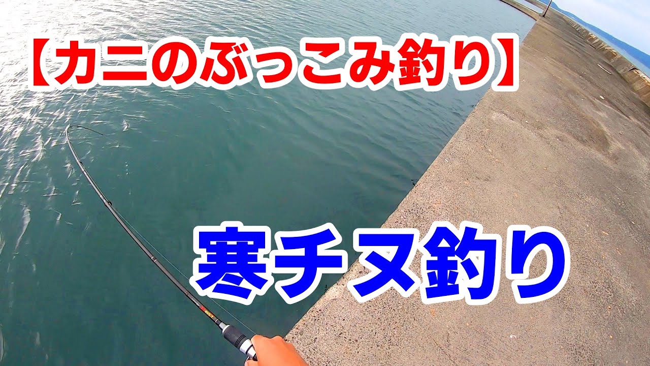 【カニのぶっこみ釣り】一投目からドラグが鳴り響く‼【12月 寒チヌ】てんやわんやでトラブル発生【高級魚】も飛び出す