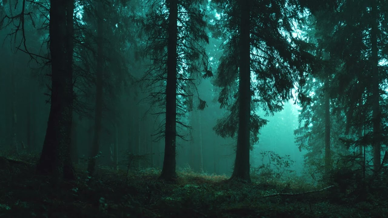 “Yesterday’s Echo in Stillness”