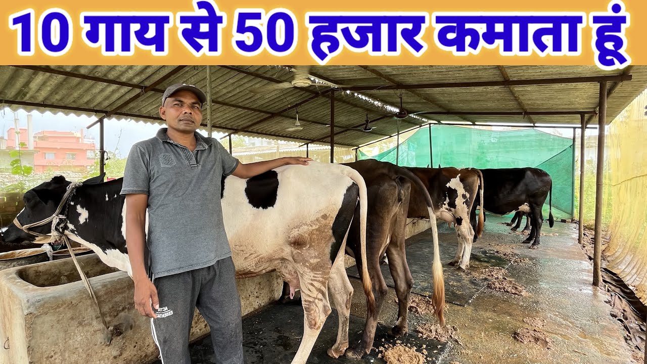 How To Start Dairy Farm Business || small dairy farm business plan 