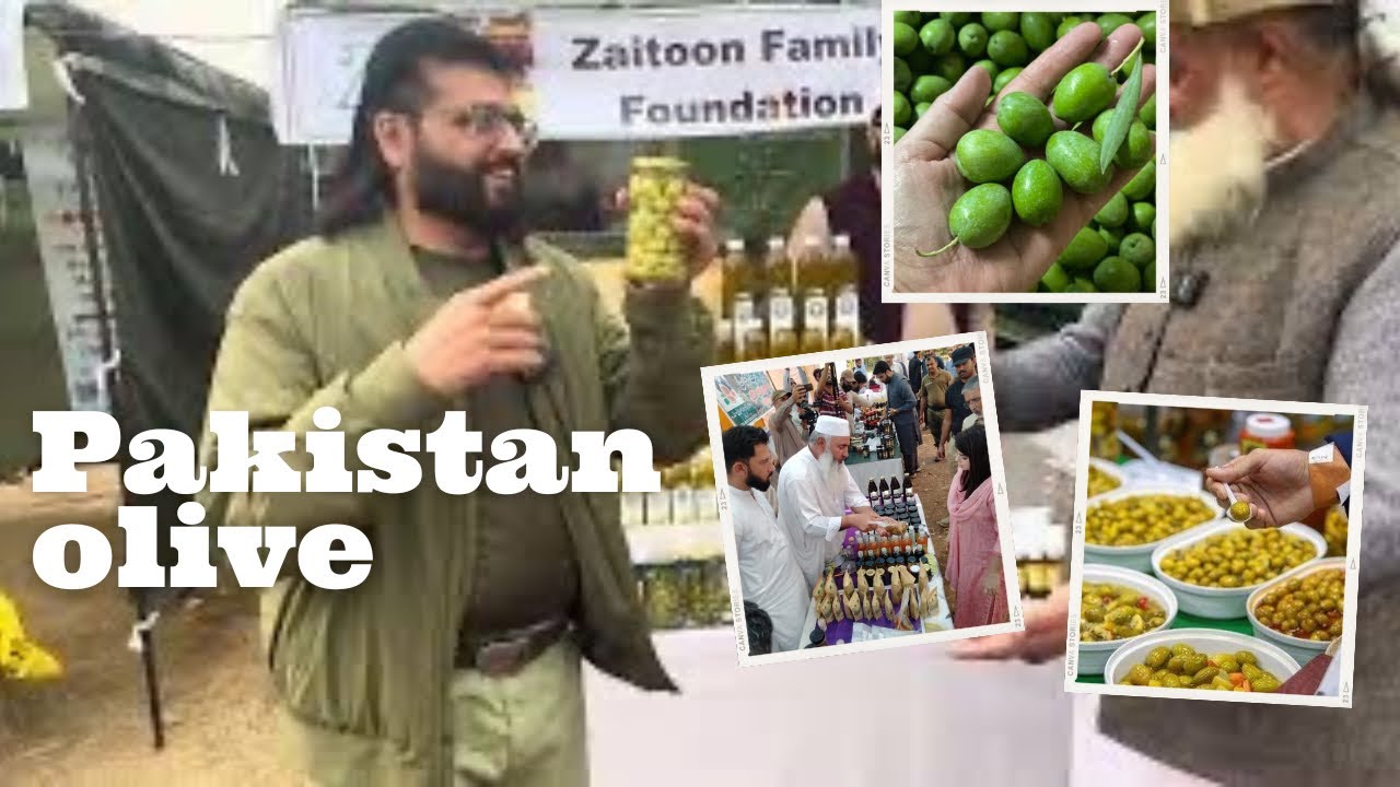 Islamabad Olive Festival Was Next Level 😍 | Food, Culture & Travel Vlog Pakistan