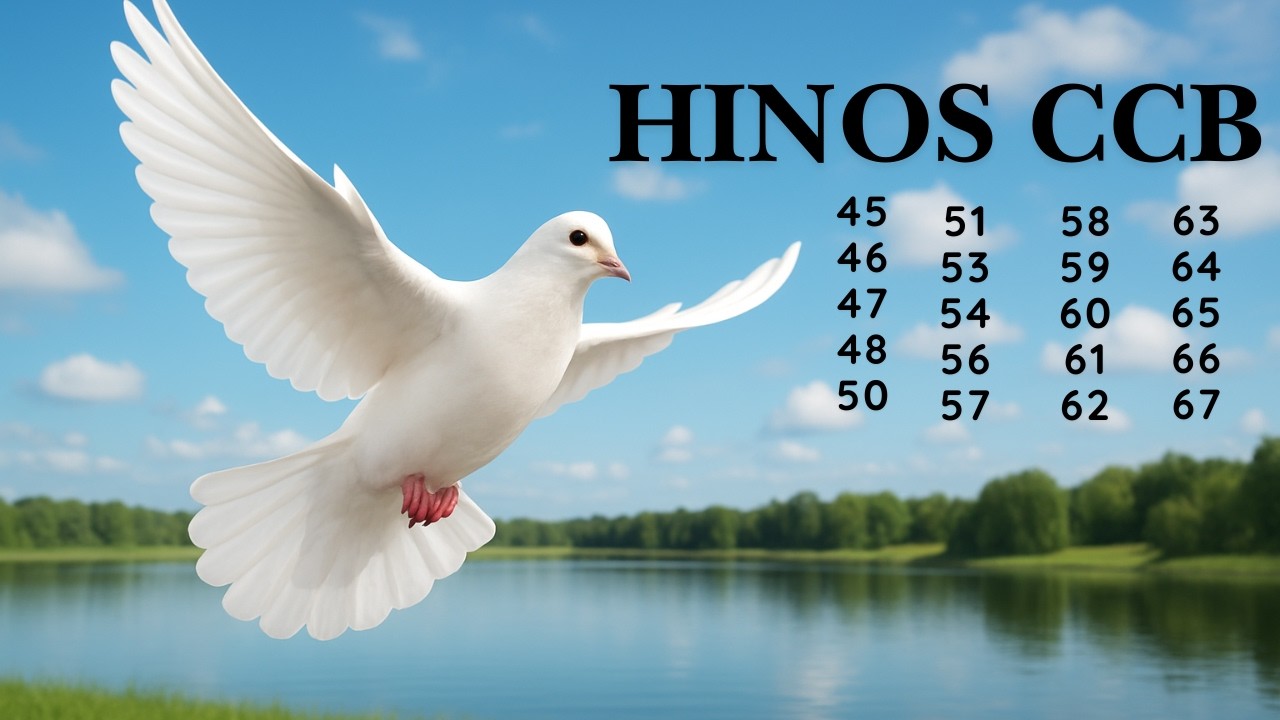 HINOS CCB - 70  | 45 46 47 48  50 51 53 54 56 57 58 59 60 61 62 63 64 65  66 67