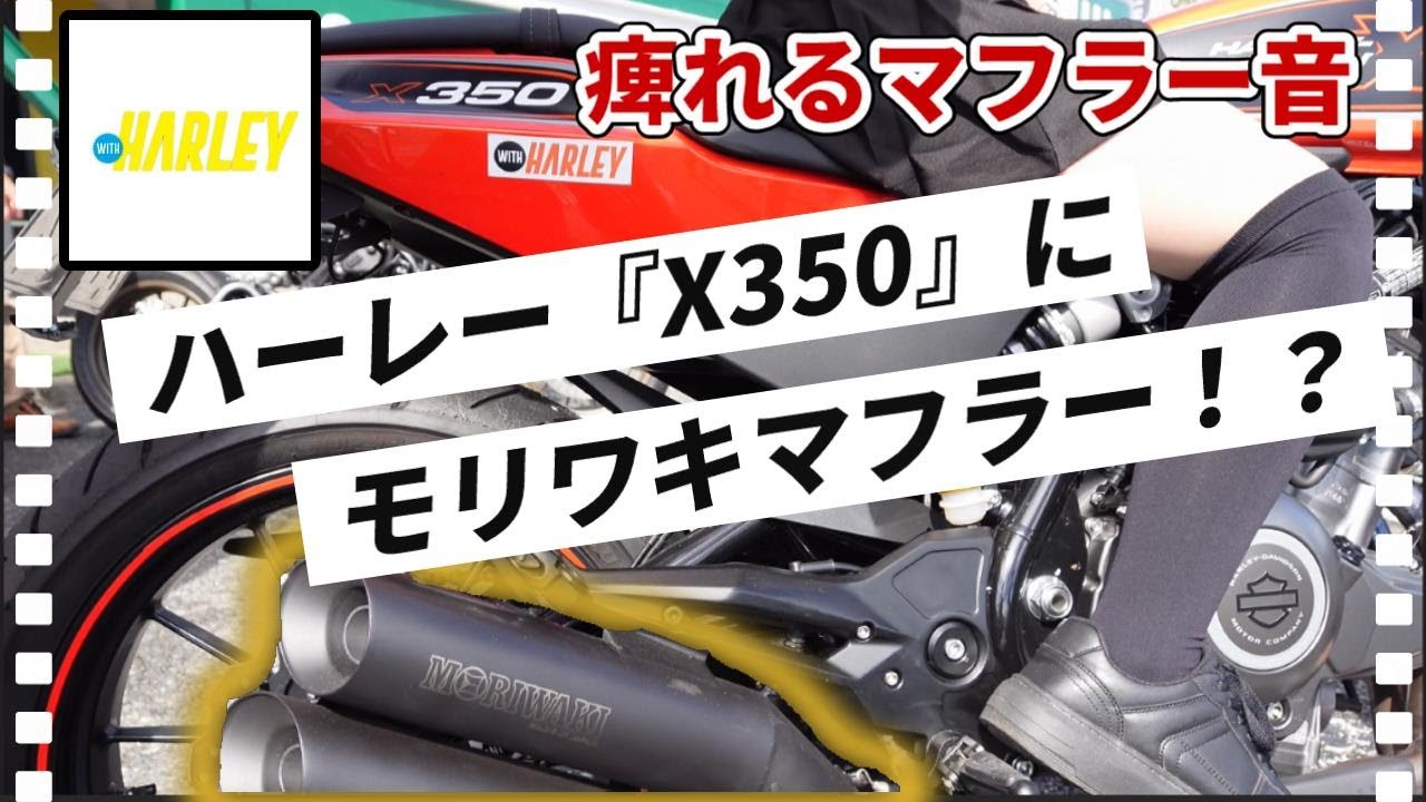 カブ女子が惚れた！！『モリワキマフラー』がついちゃったハーレーダビッドソンの『X350』 at ウェビックフェスティバル2024