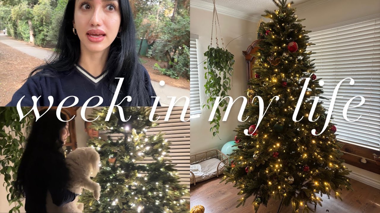 Week in my Life ☆ VLOG ☆ Nature Walks, Christmas Tree Set Up, Cozy Season Begins 