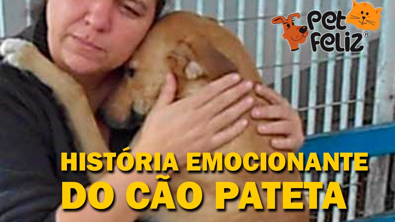 PATETA, Resgate mais emocionante do Petfeliz o Cão vira latas e sua história.