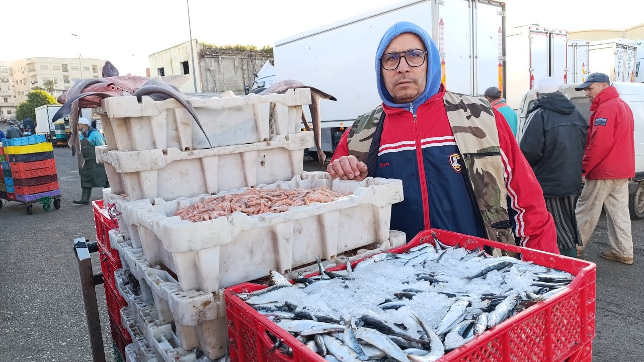 دائما الجودة العالية 0661789382 مرحبا بالجميع عند أسماك بوشعيب بتاريخ 23/02/2026