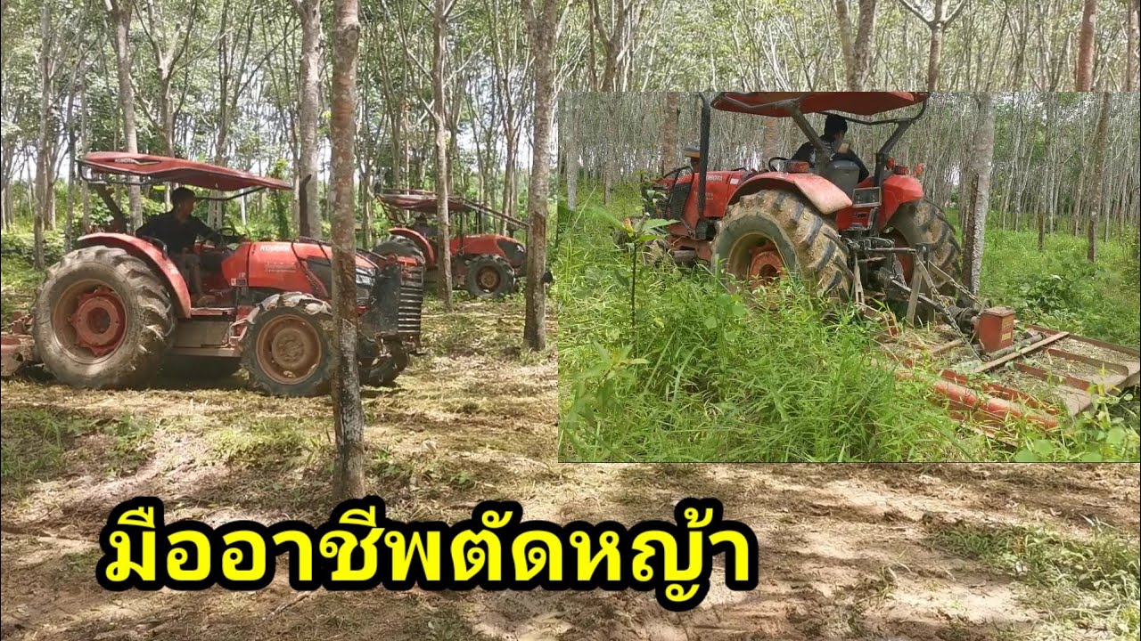 มืออาชีพเค้าตัดหญ้ากันยังไง!!อยากรู้ต้องดู​คลิป​นี้?
