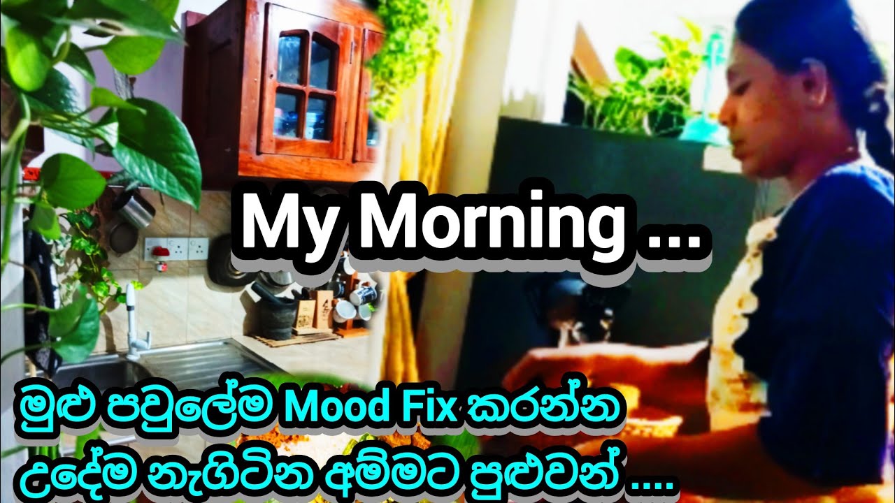 පාන්දරම නැගිටලා නිදහසේ උයමු😊Beauty of My Morning 😊