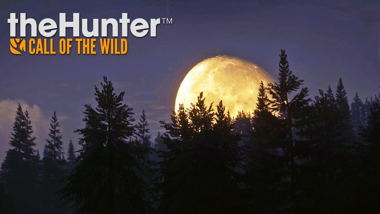 One After Another | Thehunter: Call of The Wild Live!