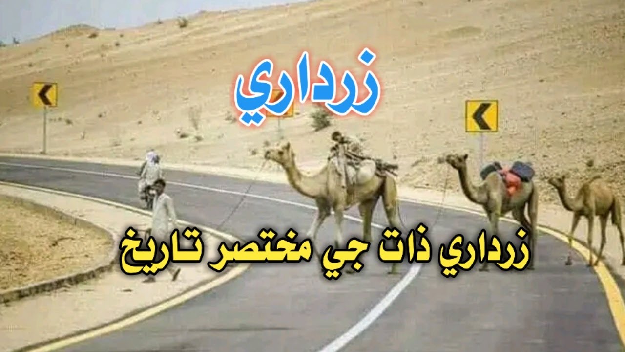 زرداري ذات جي مختصر تاريخ. Zardari cast full history.