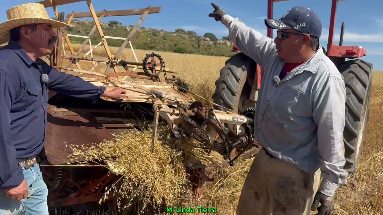 YO TRABAJO CON UNA MAQUINA CORTADORA DE AVENA DE LAS ANTIGUAS Y ME ENSEÑE A TRABAJAR SOLO MIRANDO🇲🇽😏