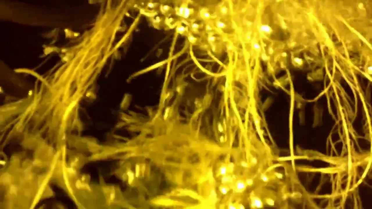 Just a update(undercurrent grow rockstar kush)