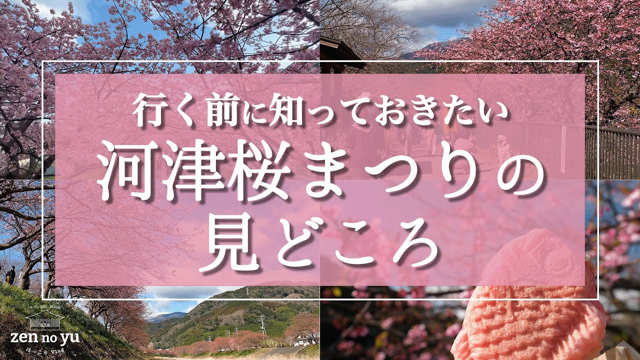 【伊豆】河津桜まつりの見どころと歩いて行ける周辺スポットをご紹介！