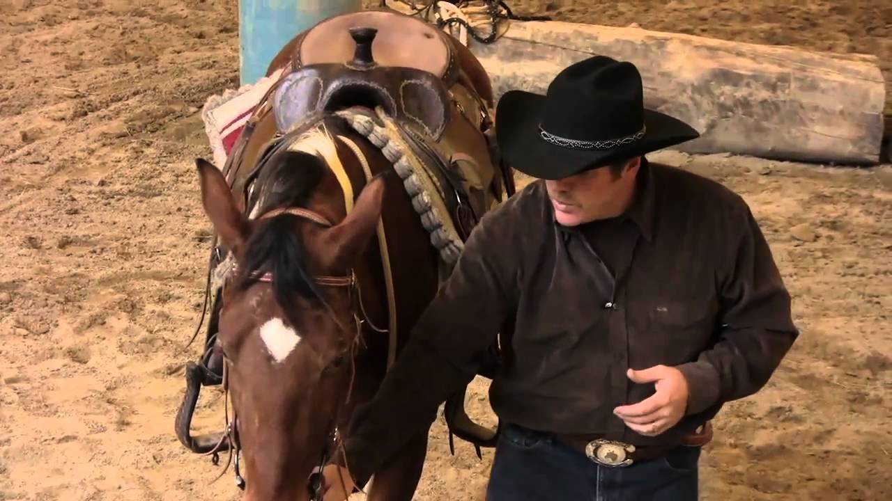 Demonstration of the  Mecate Reins - SCEA Rescue horse
