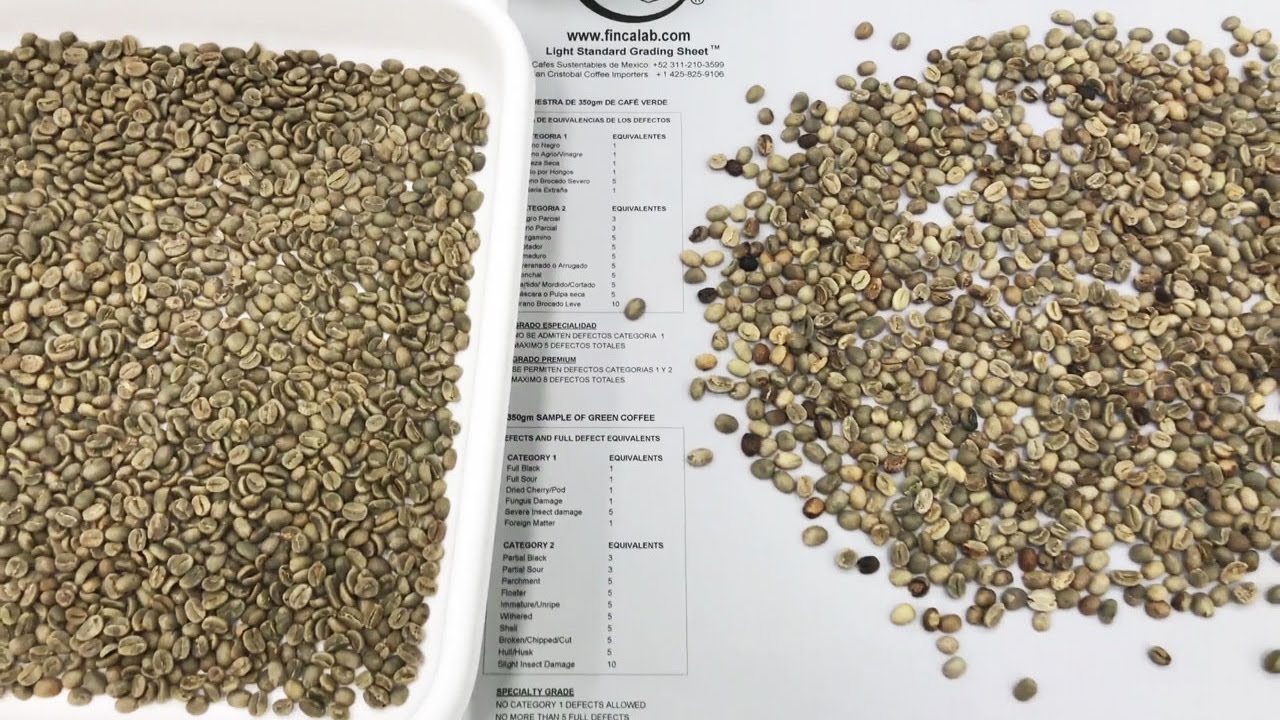 Satake RNEZS Green Coffee Sorting Demo #realresults