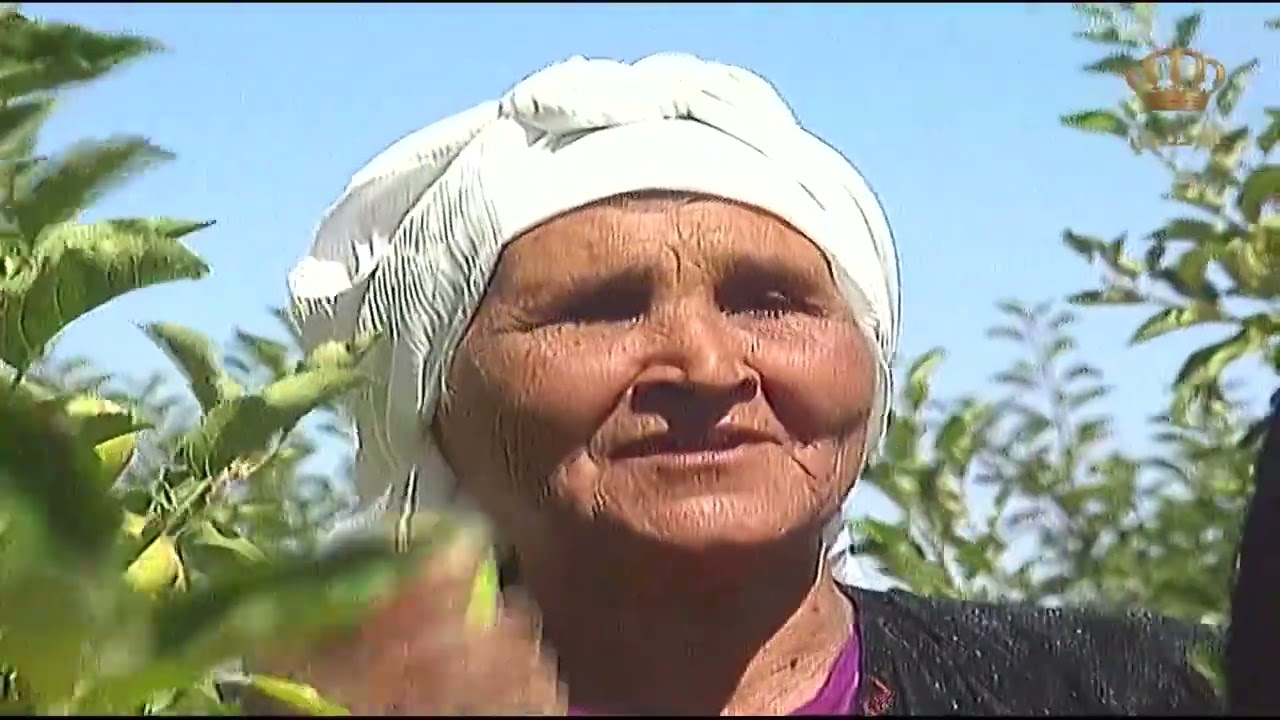 تقرير من أحلى ما يكون من لواء الشوبك مع الشاعرة نجاح المساعيد والحديث عن التفاح الشوبكي🍏