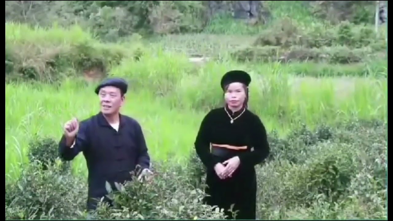 Anh Nhật Phương Mời Em Hà Hằng, Thăm Đồi Chè Đoỏng Pán 