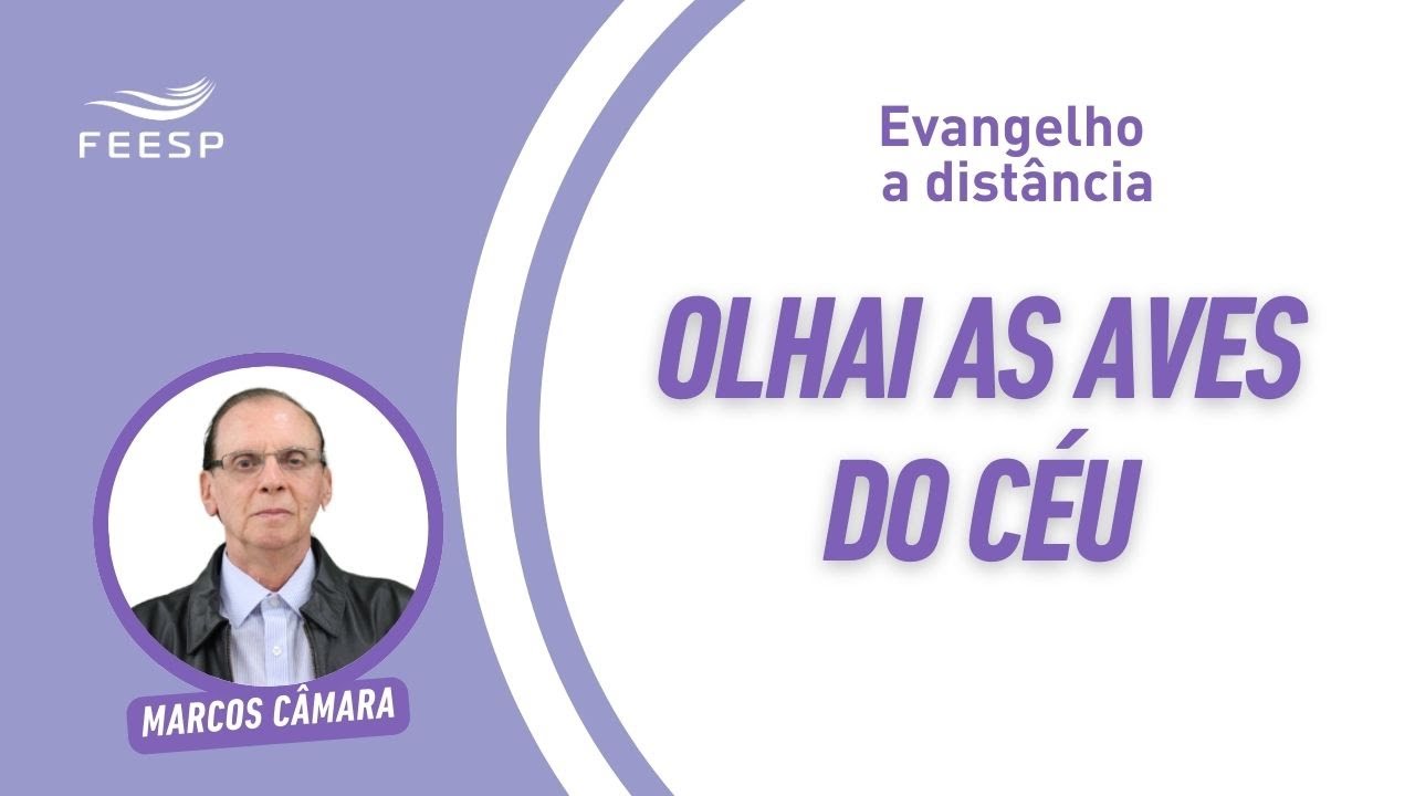 OLHAI AS AVES DO CÉU