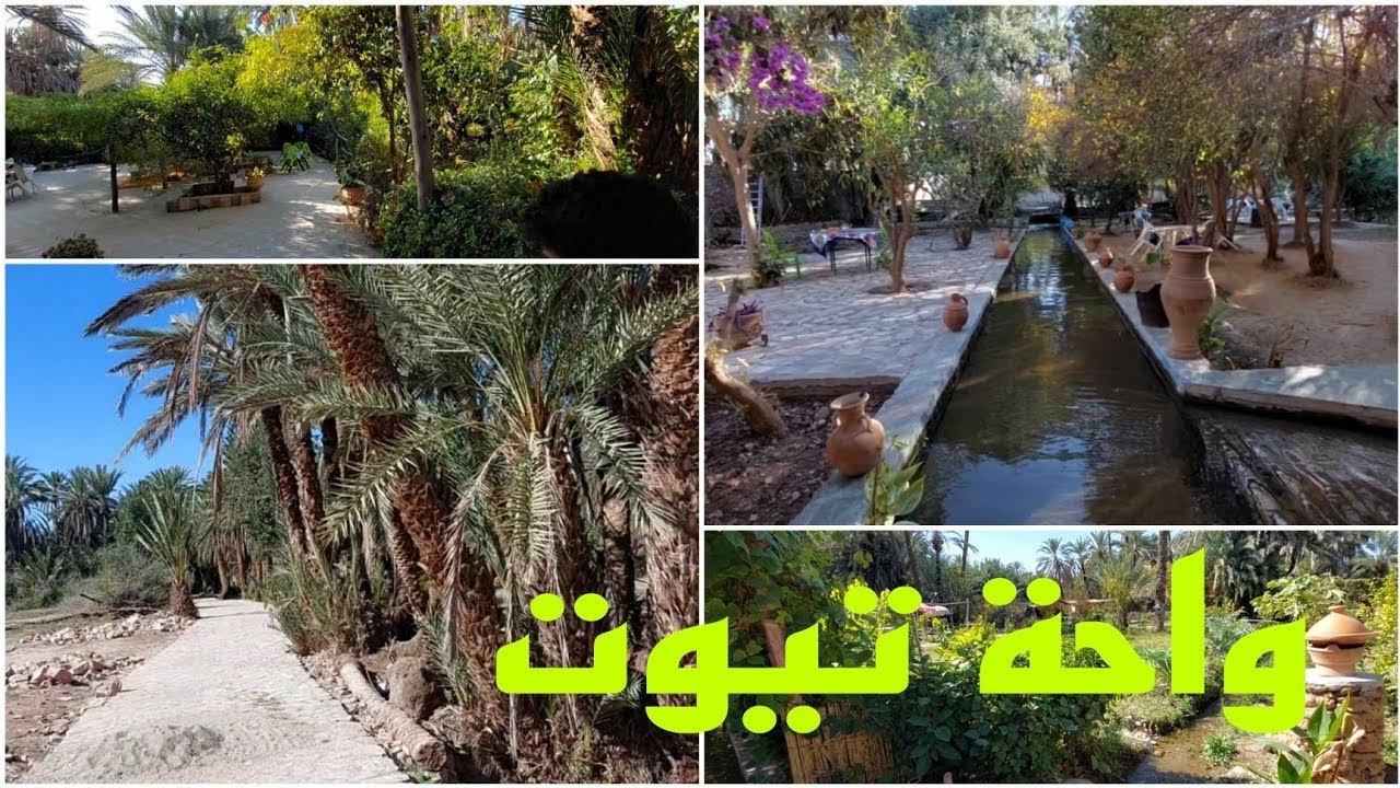 جولة داخل واحة تيوت حاضنة النخيل vlog: نواحي تارودانت طبيعة ومناظر خلابة❤️