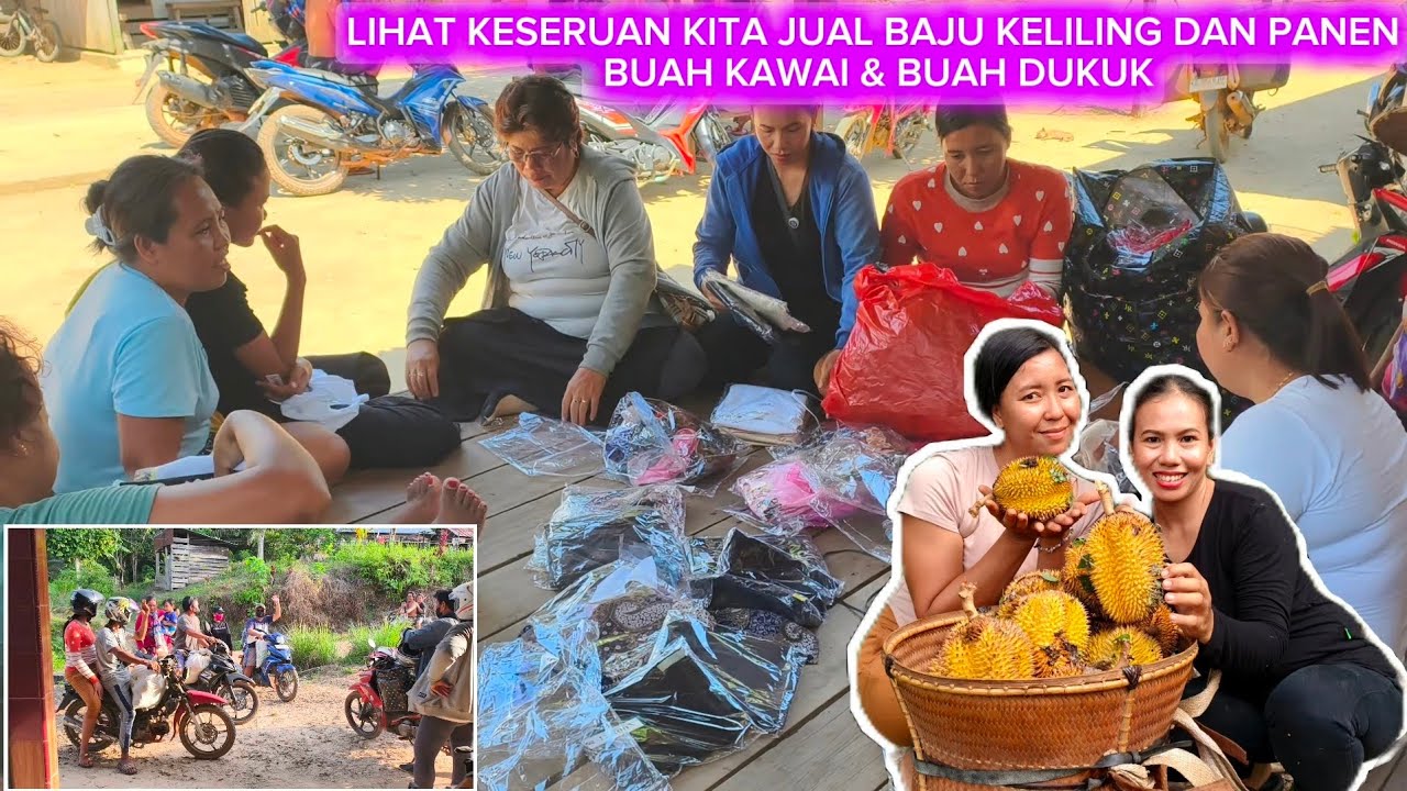 SATU ROMBONGAN HARI INI KITA JUAL BAJU KELILING & PANEN BANYAK BUAH BUAT KITA BAWAK PULANG