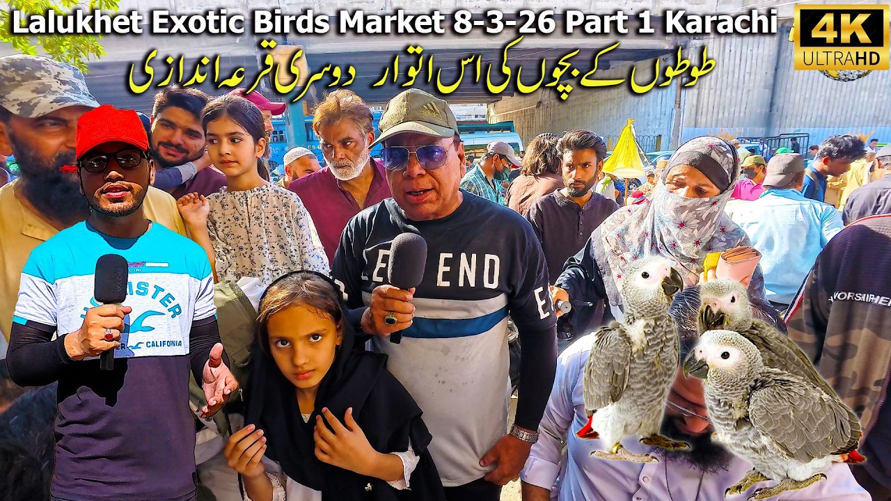 Lalukhet Exotic Birds Market 8-3-26 Part 1 Karachi | Rare and Unique breeds of Parrots and Rooster