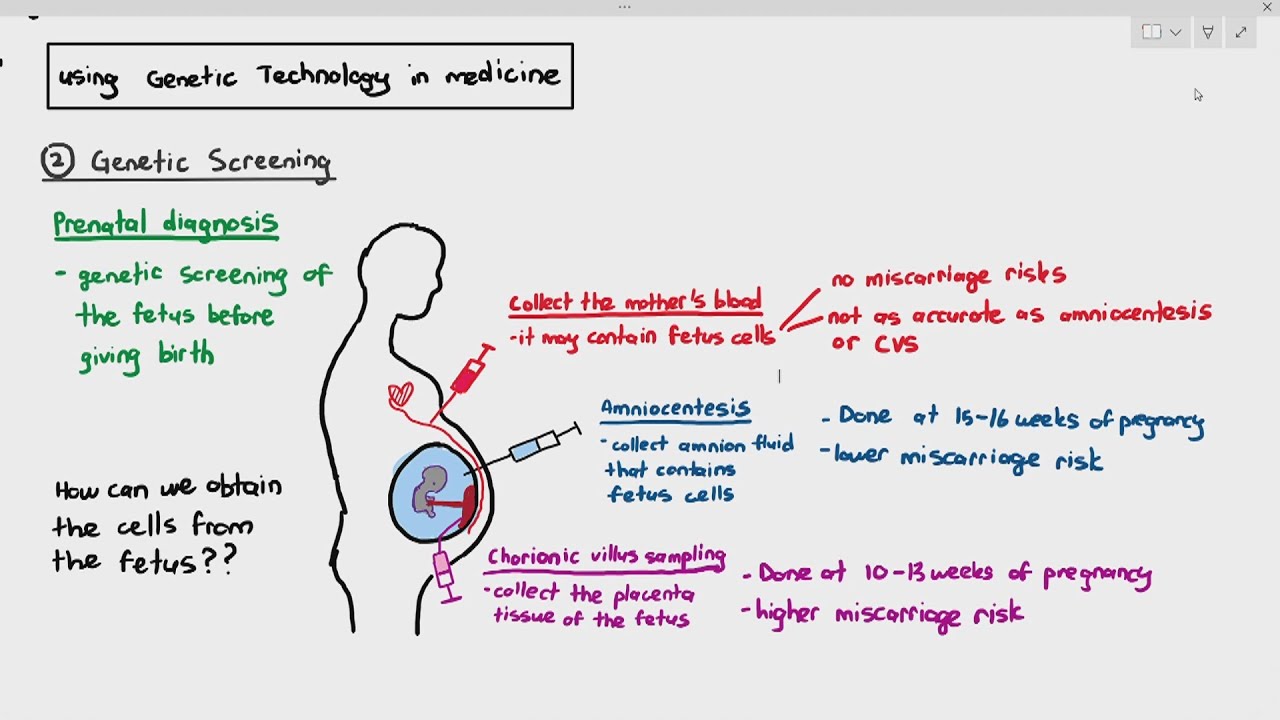 19-14 Genetic Screening (Cambridge AS A Level Biology, 9700)