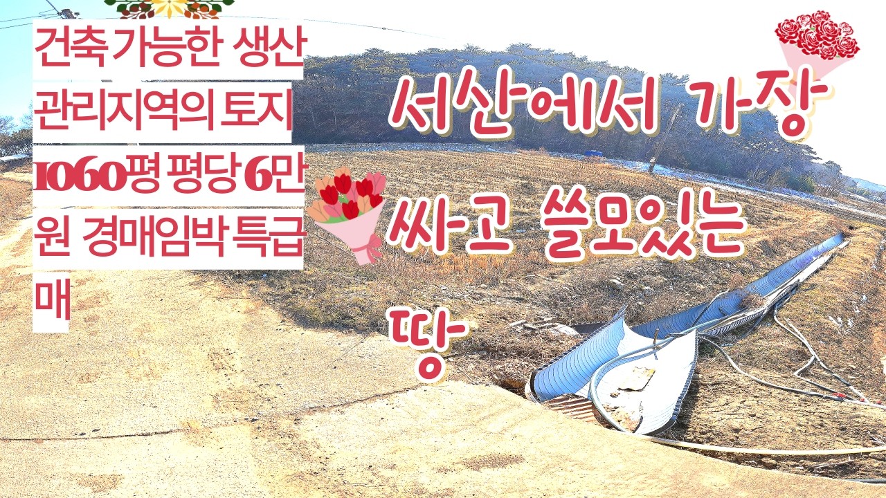서산땅 전원주택 중개전문채널  경매임박한 서산에서 가장 싼 땅 건축가능한 토지