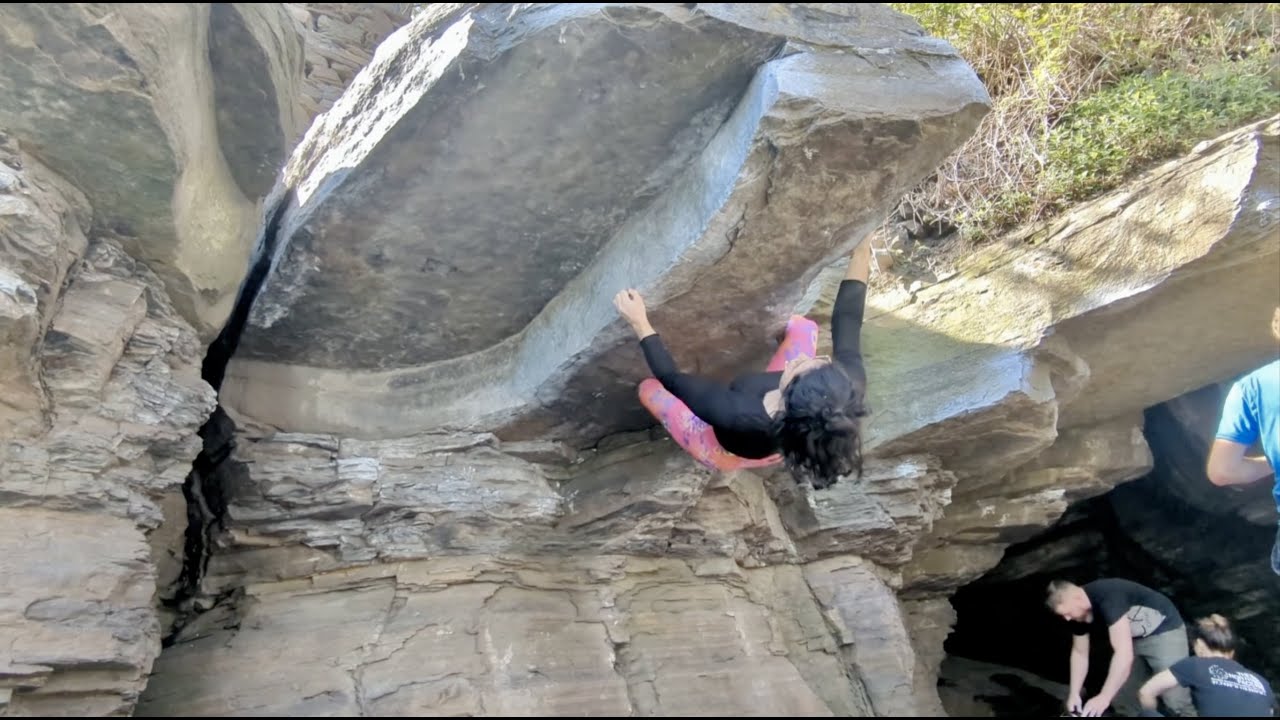 Circus minimalis 6B+, Wunderblöcke, Avalonia