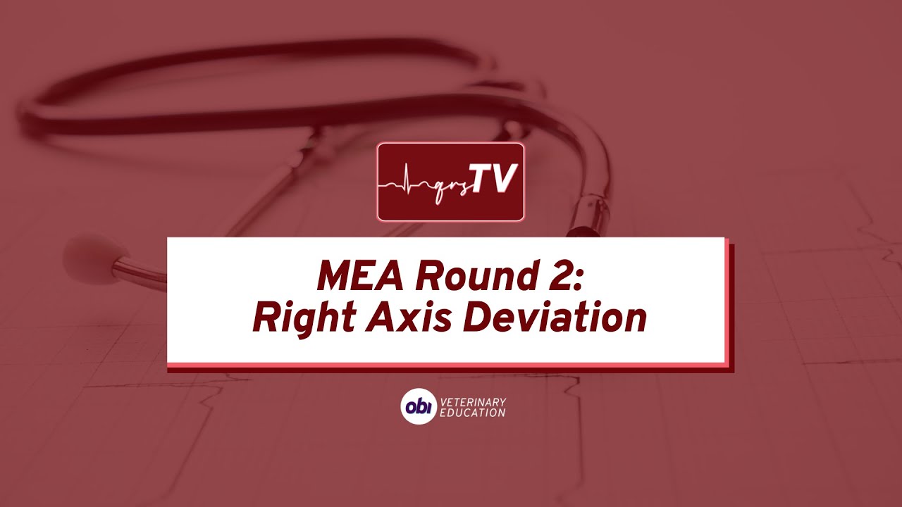Mean Electric Axis Right Axis Deviation - qrsTV - Veterinary ECG Explained