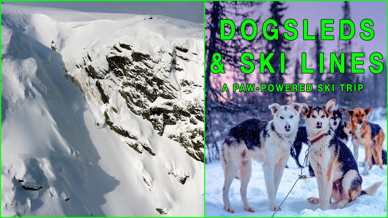 DOGSLEDS AND SKI LINES IN SWEDEN - Lovisa ski vlog #7