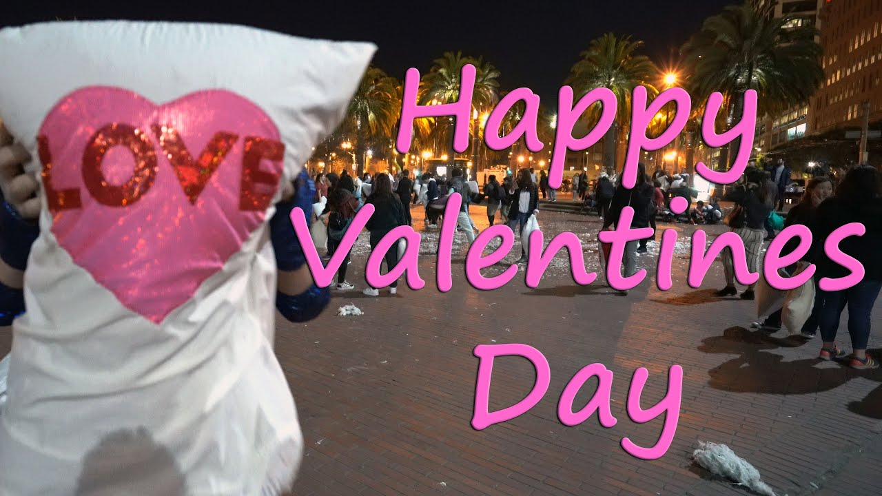 An alternative to Chocolates and Flowers | A San Francisco Valentine |Pillow Fight|Goat My Valentine