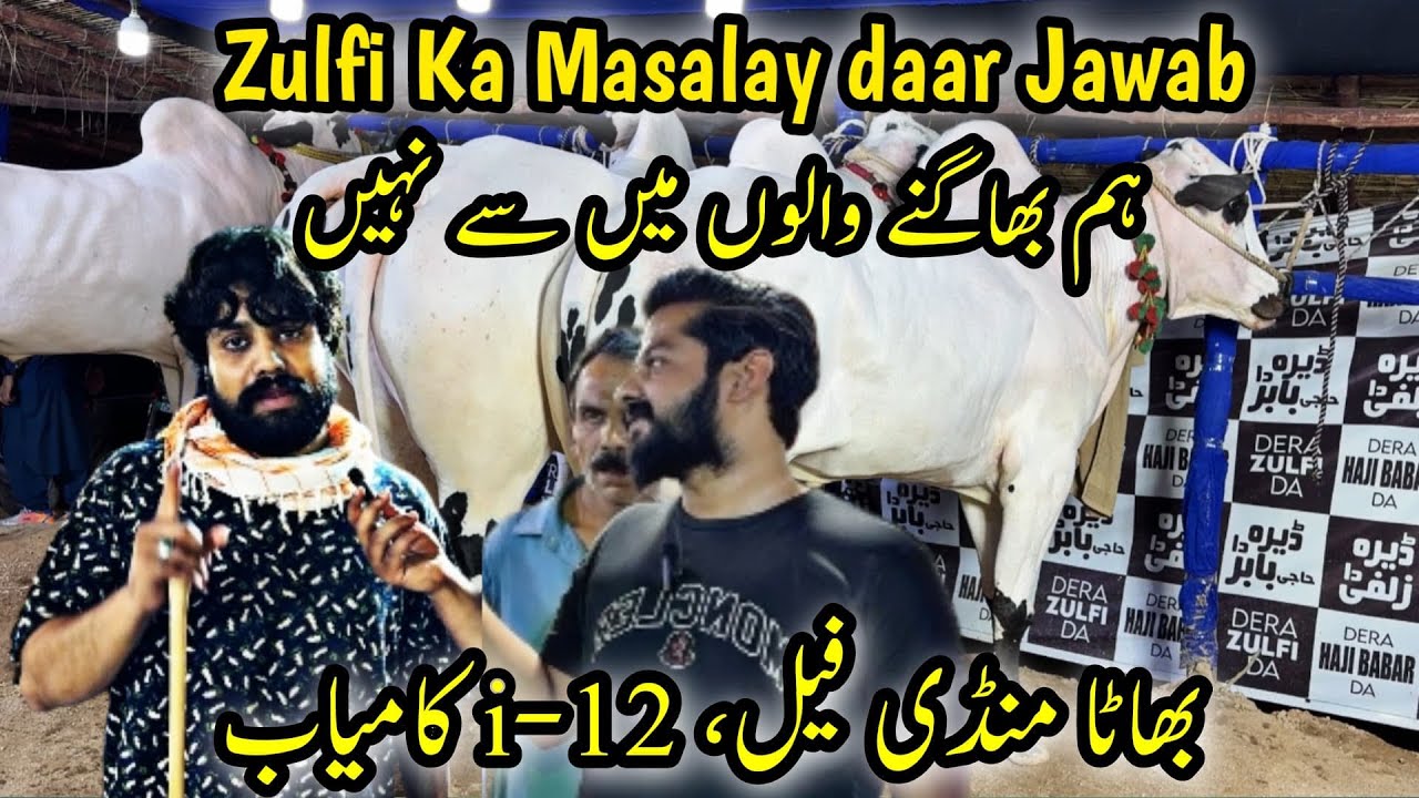Zulfi ka Masaly Daar Jawab 🤫 - Bhatta Mandi Floop 😳 I-12 Mandi Latest Update - Cow Mandi 2025