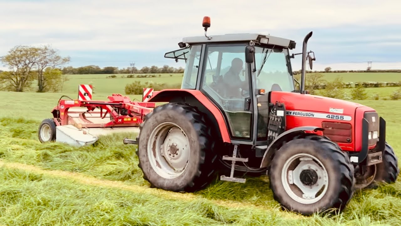 MF 4255 LELY SPLENDIMO 320 PC