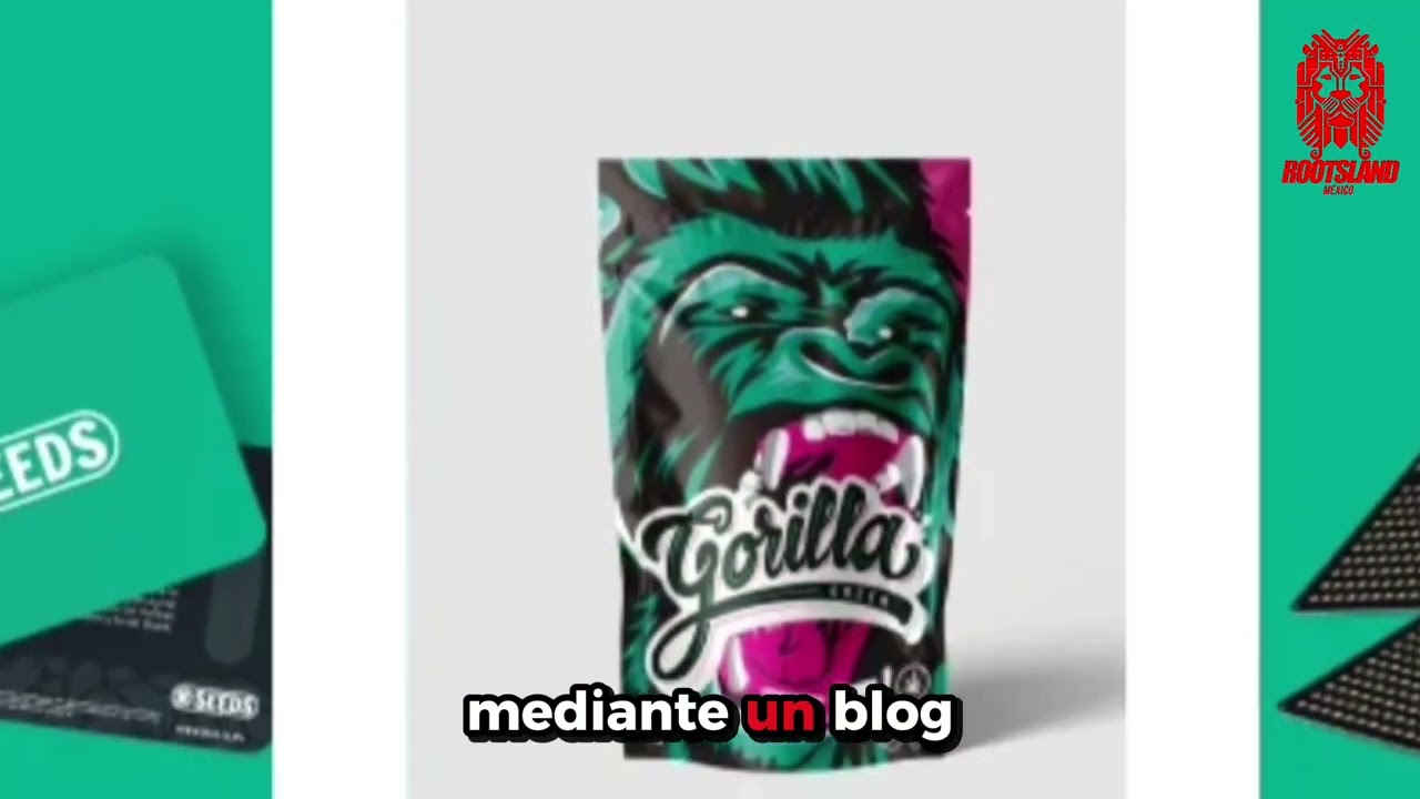 El ceo de &ldquo;GB The Green Brand&rdquo; opina sobre la industria del cannabis