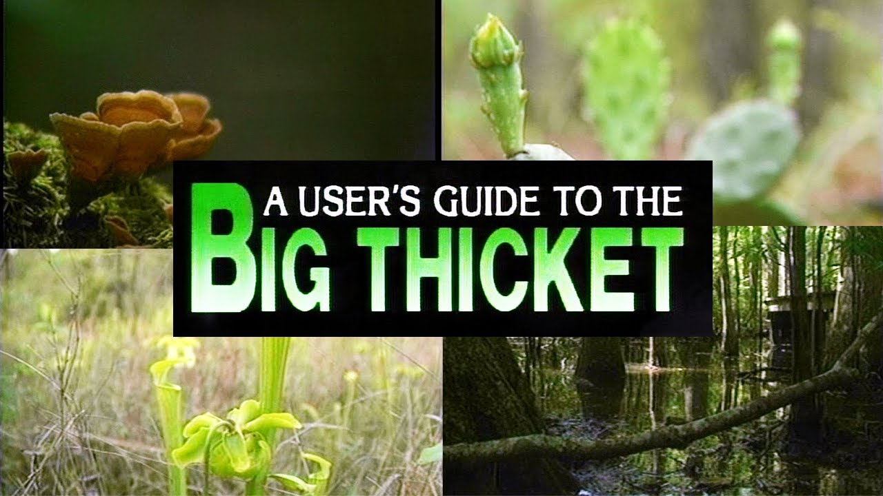 A User's Guide to the Big Thicket (1991)