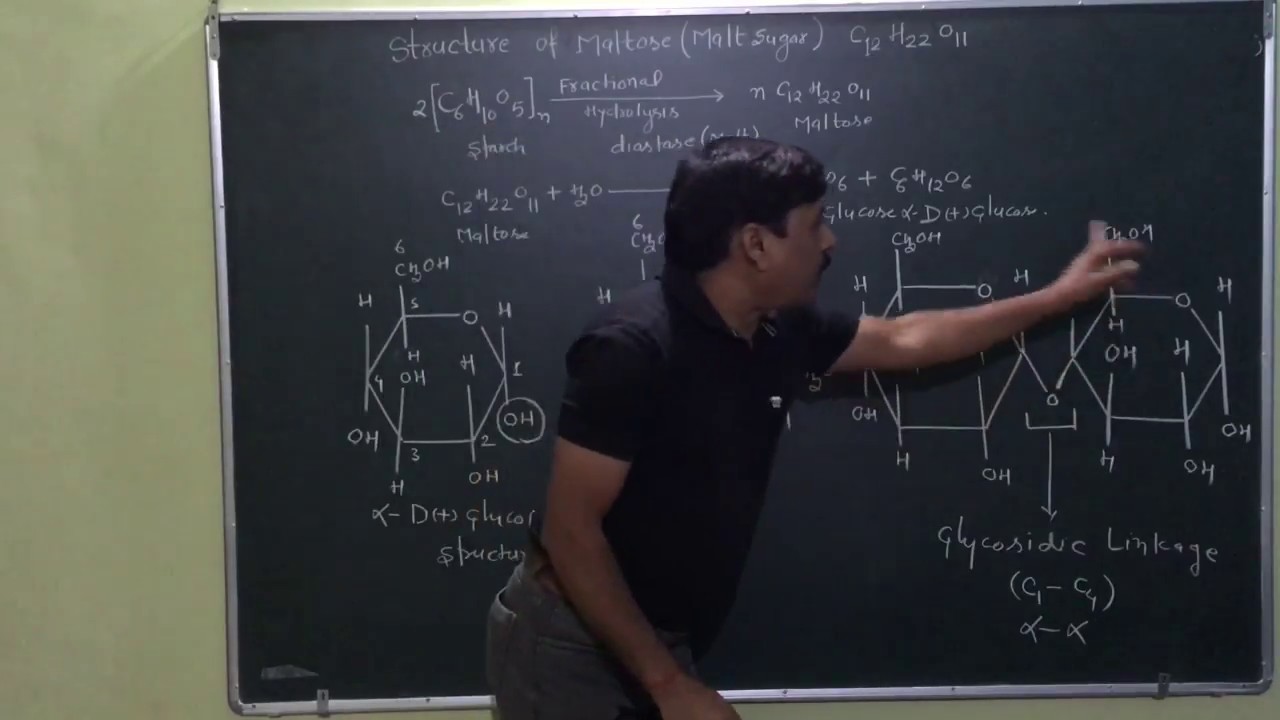 Biomolecules|Structure Of Maltose Or Malt Sugar|For JEE Mains&advanced|NEET|AIIMS| CBSE 12TH BOARD|