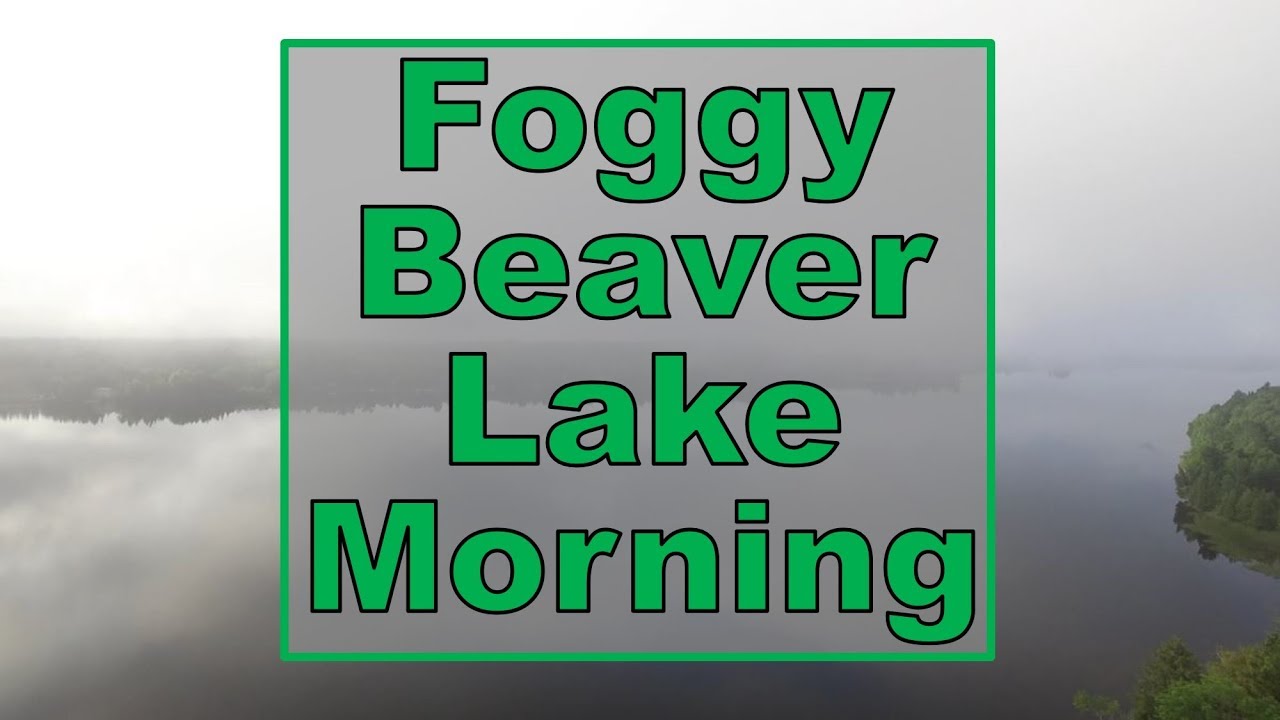 A Foggy Morning on Beaver Lake #dondroneson #summer #drone #beaverlake #summerinontario #erinsville