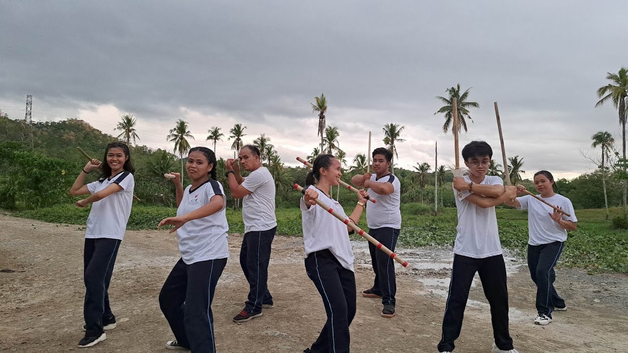 ANYO-ARNIS PERFORMANCE
