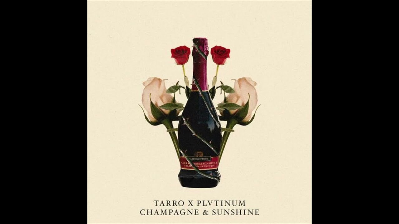 PLVTINUM - Champagne And Sunshine (Acapella)