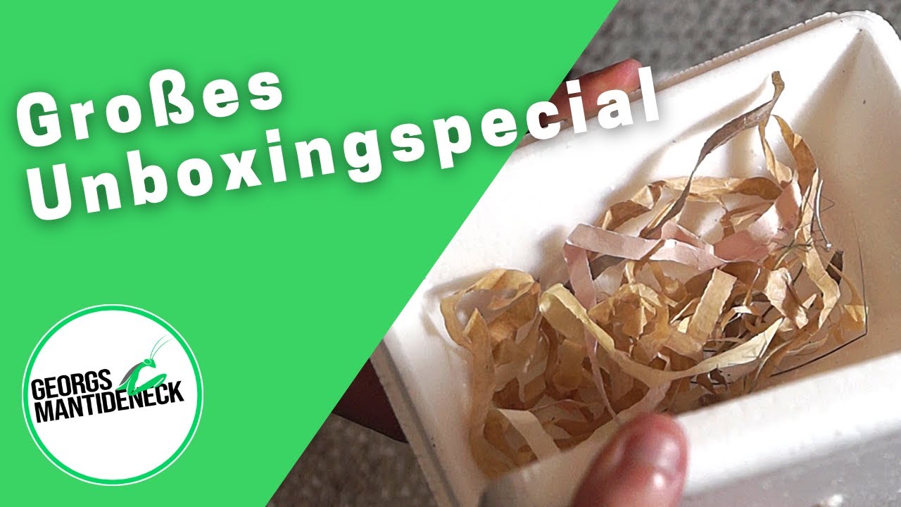 Großes Unboxingspecial: 2 Unboxings in einem Video