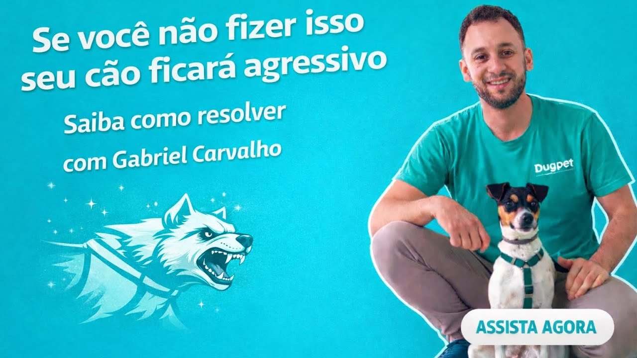 Faça isso para seu cão não se tornar agressivo