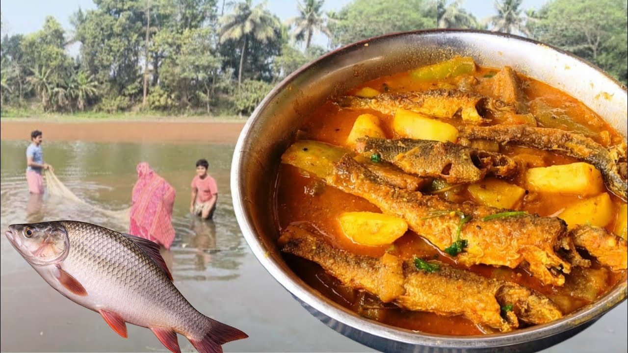 আমাদের পুকুরের জ্যান্ত মাছ দিয়ে  রান্না করে বাড়ির সবাই মিলে খাওয়া দাওয়া করলাম/fish recipe