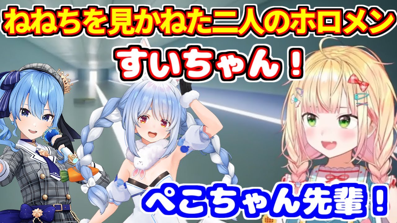 ねねちを見かねたすいちゃんとぺこちゃんがコメントにし来る【ホロライブ切り抜き/桃鈴ねね/兎田ぺこら/星街すいせい】