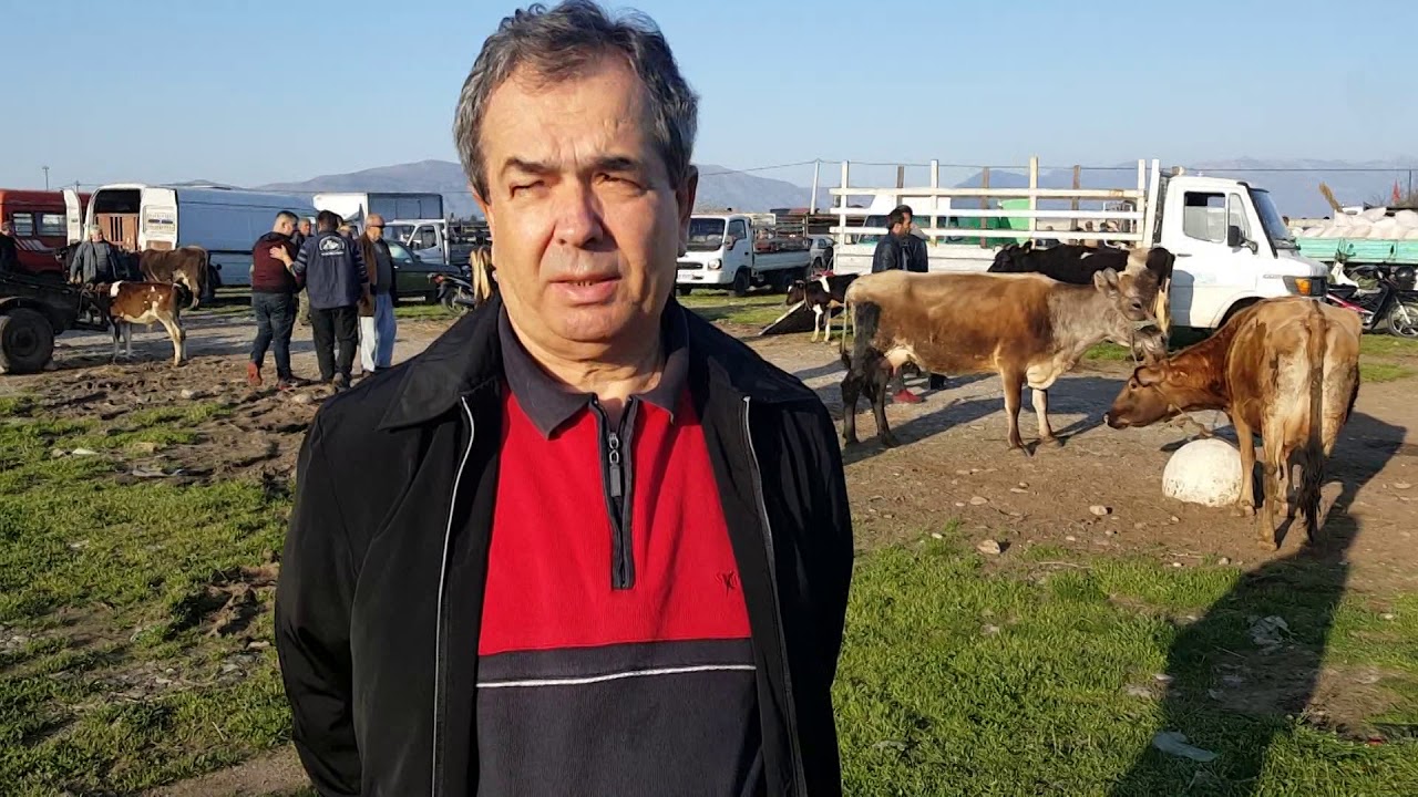 Tregu i kafsheve ne Stom Golem, Shkoder