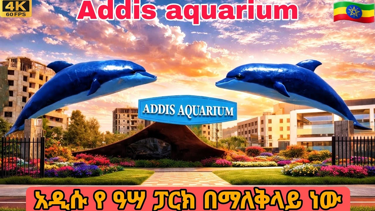 Addis Ababa&rsquo;s New Aquarium Park Is Nearly Finished 🇪🇹 | 4K City Walk