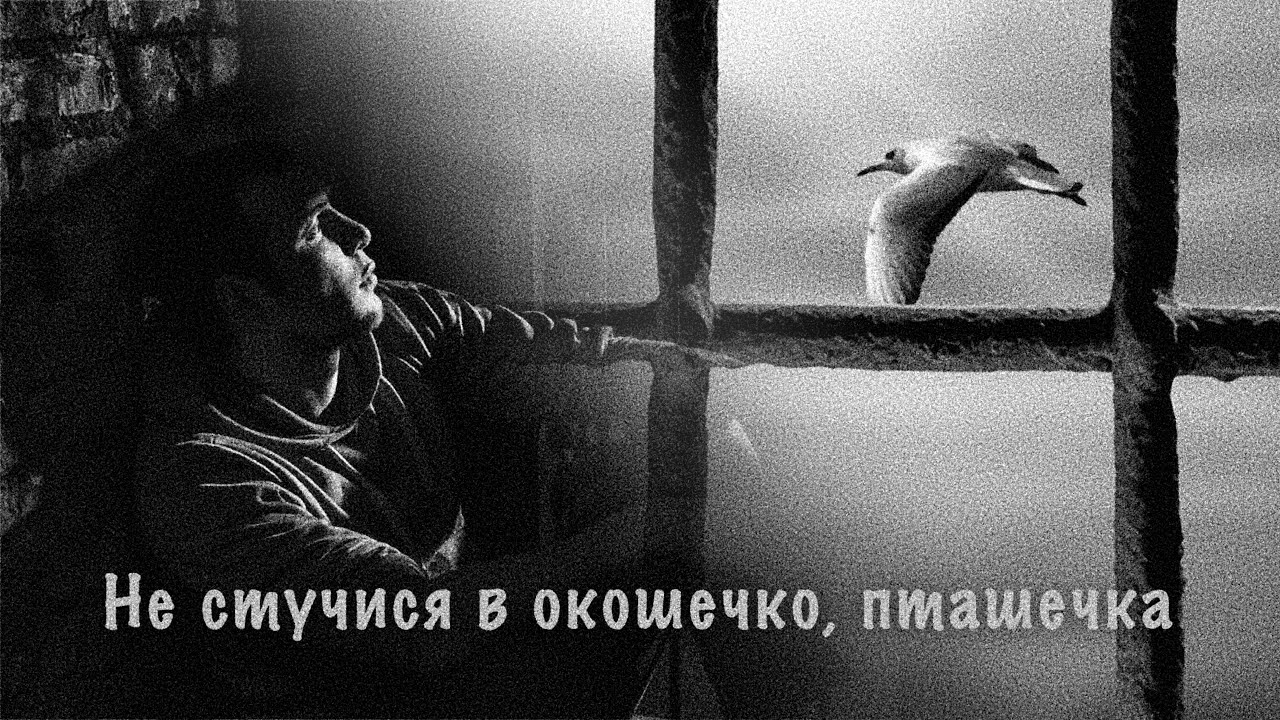 Не стучися в  окошечко, пташечка – Левит