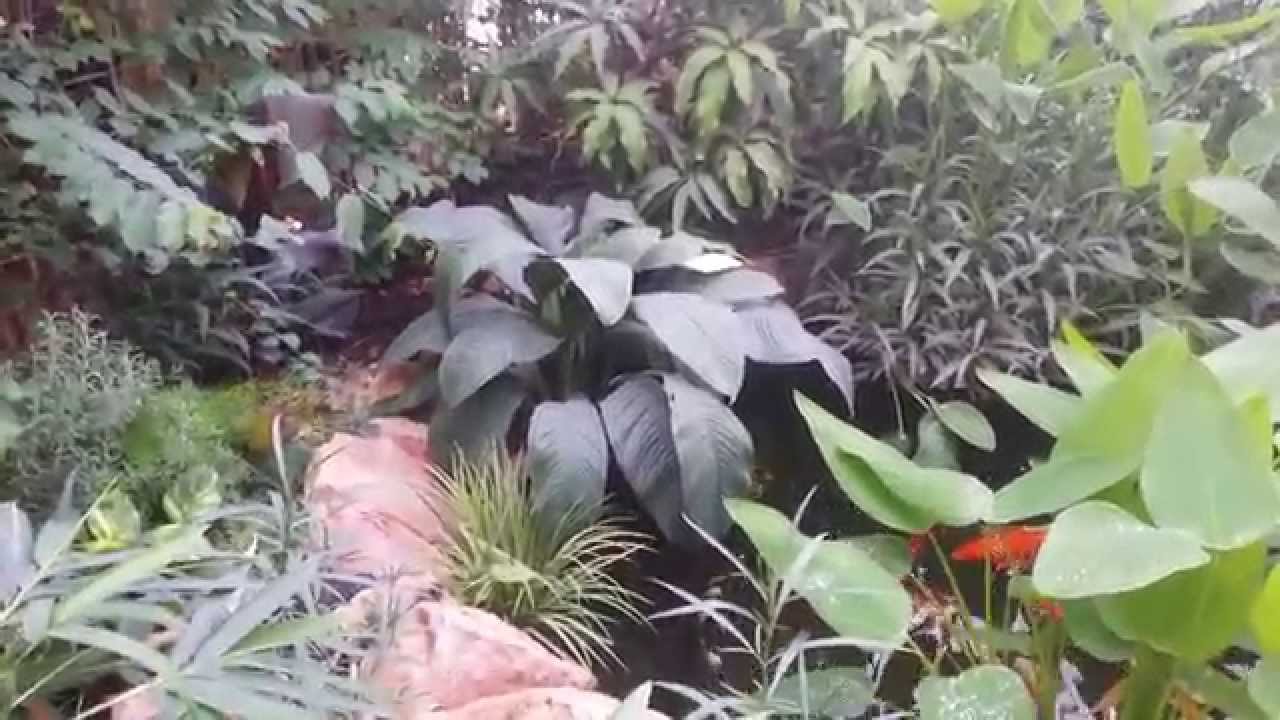 لن تصدق ان هذا بالكويت .. بستان بقلب الصحراء