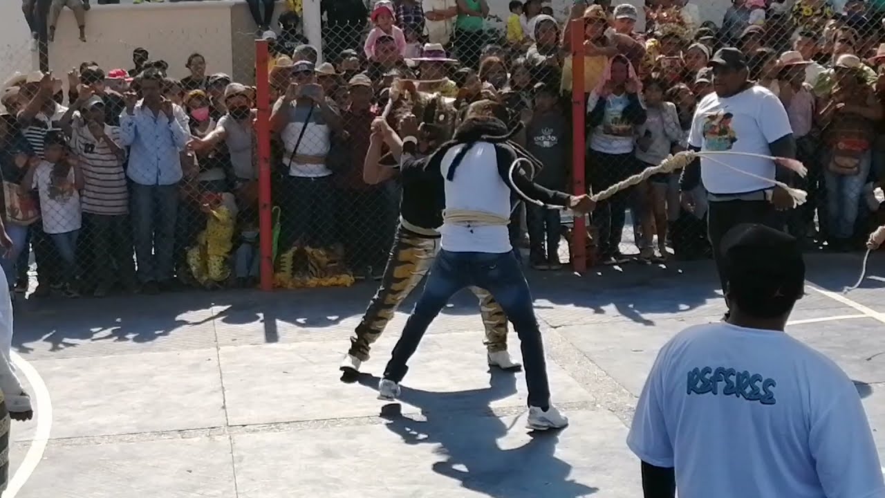 Tradicional Pelea de tigres (2). Zitlala, Gro. 5/Mayo/2021