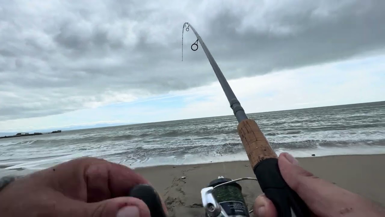 Surf Perch Fishing A Break In the Storm!